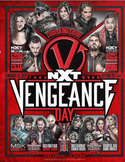 NXT Vengeance Day 16x20 Fight Card Poster
