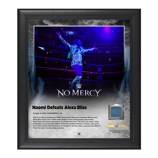 Naomi No Mercy 2016 15 x 17 Framed Plaque w Ring Canvas
