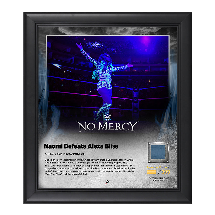 Naomi No Mercy 2016 15 x 17 Framed Plaque w Ring Canvas Pwcatalog