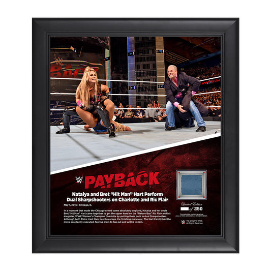 Natalya Payback 2016 15 x 17 Framed Ring Canvas Photo Collage Plaque