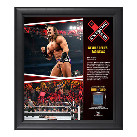 Neville Extreme Rules 2015 15 x 17 Framed Ring Canvas Photo Collage