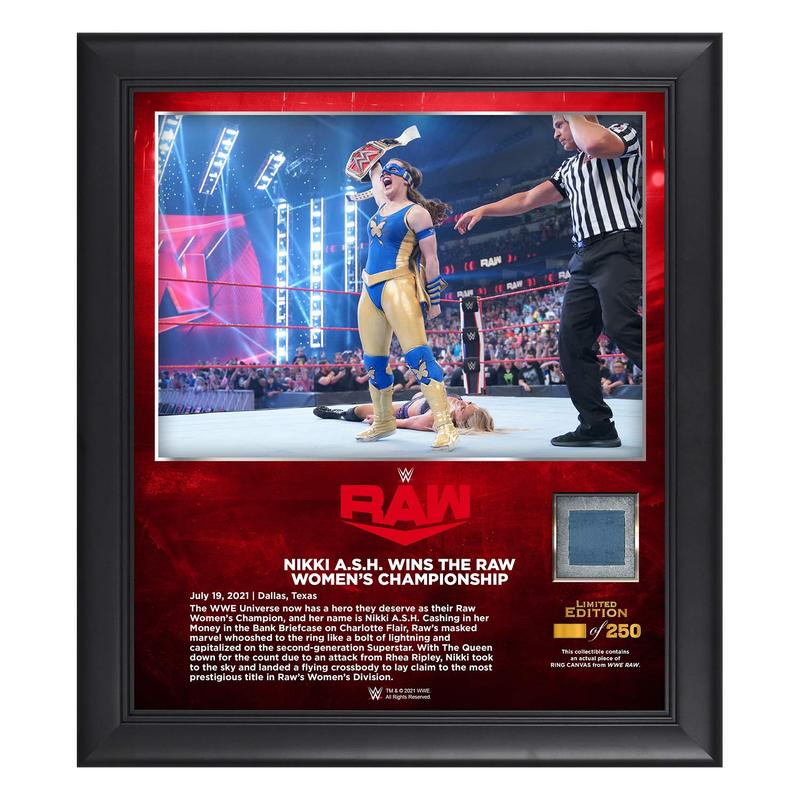 Nikki A.S.H. Cashes In RAW 15x17 Commemorative Plaque Pwcatalog