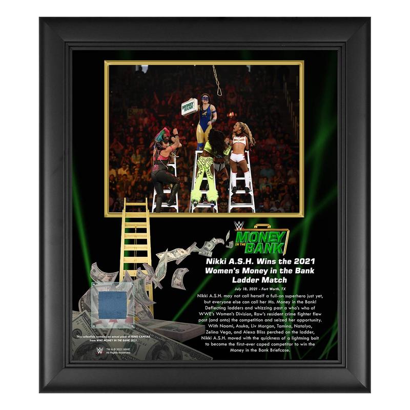 Nikki A.S.H. Money In The Bank 15x17 Commemorative Plaque Pwcatalog
