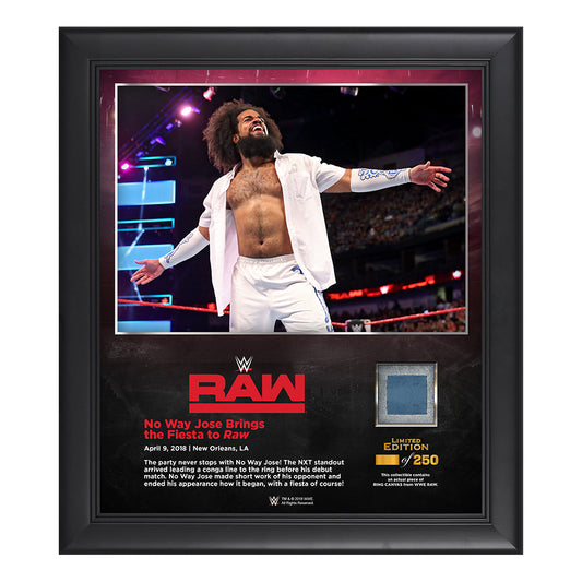 No Way Jose RAW New Orleans 15 x 17 Framed Plaque w Ring Canvas