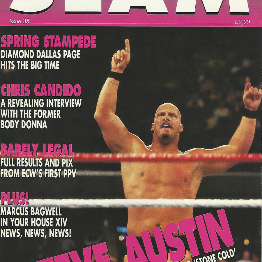 Power Slam Volume 035 Magazine PWcatalog