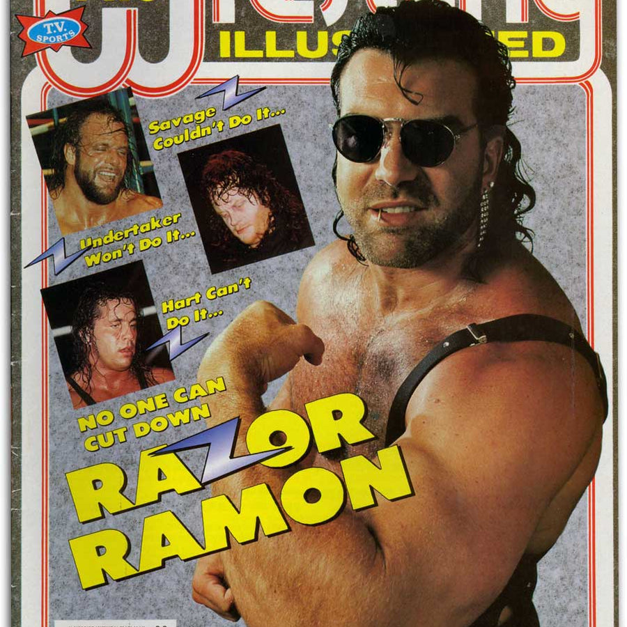 Pro Wrestling Illustrated February 1993 Magazine PWcatalog