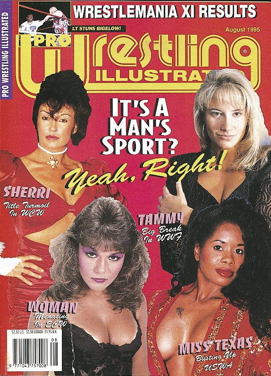 Pro Wrestling Illustrated August 1995 Magazine PWcatalog