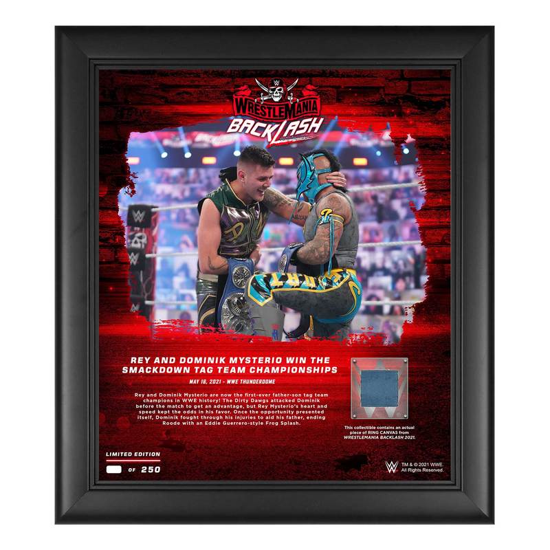Rey Mysterio & Dominik Mysterio WrestleMania Backlash 2021 15x17 Commemorative Plaque Pwcatalog