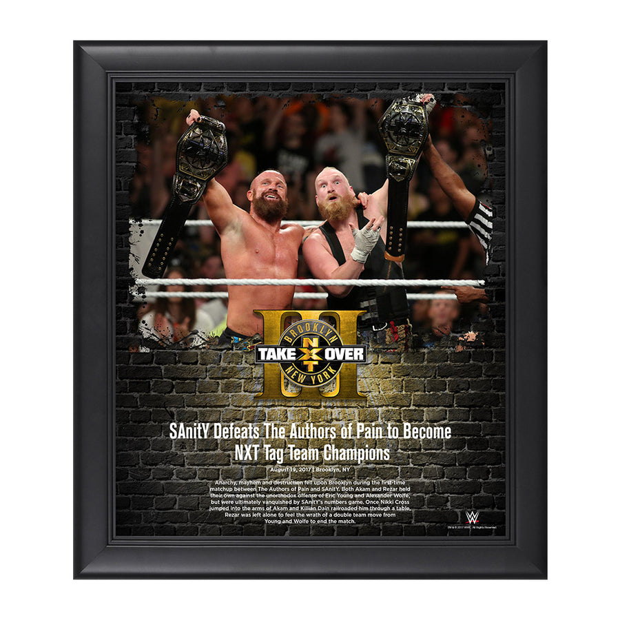 SAnitY NXT TakeOver Brooklyn 2017 15 x 17 Framed Plaque Pwcatalog
