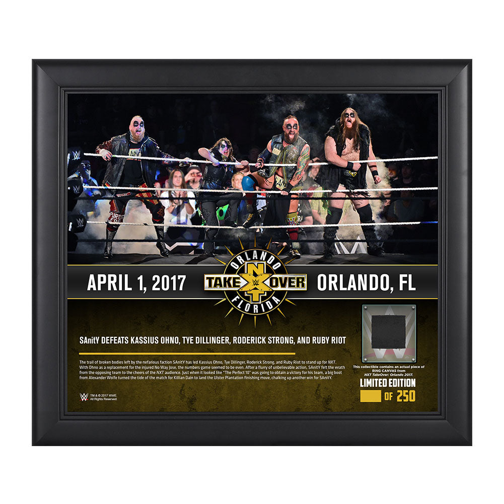SAnitY NXT TakeOver Orlando 15 x 17 Framed Plaque w Ring Canvas Pwcatalog