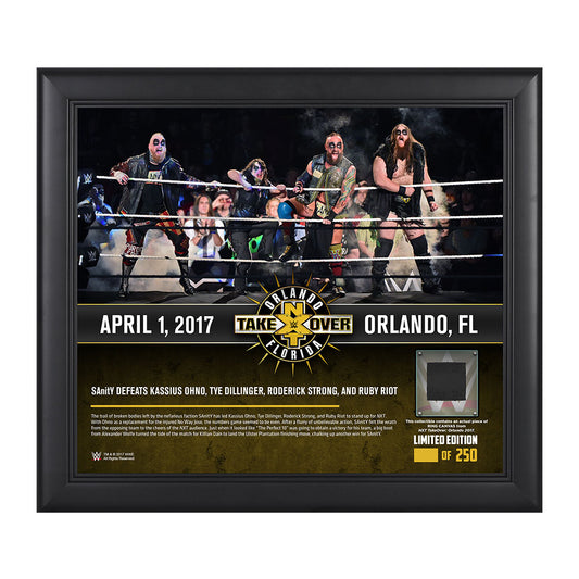 SAnitY NXT TakeOver Orlando 15 x 17 Framed Plaque w Ring Canvas Pwcatalog
