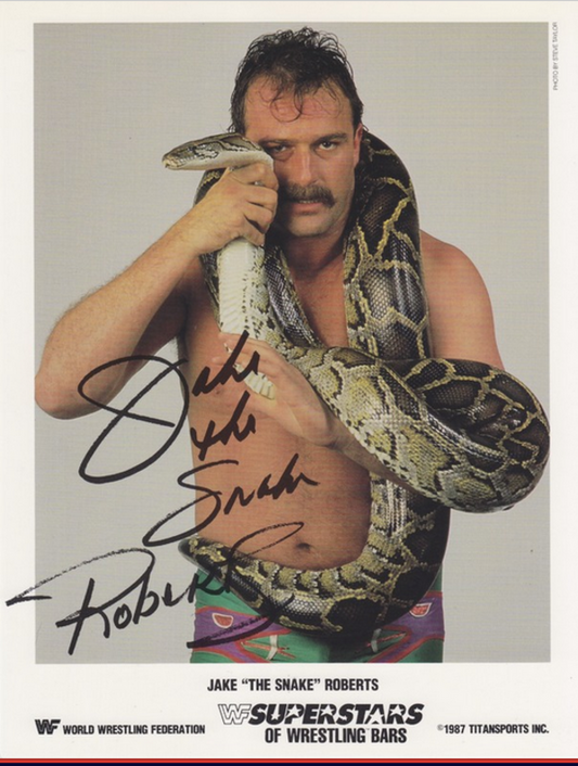1987 Jake Roberts Superstars of Wrestling Ice Cream Bars Color
