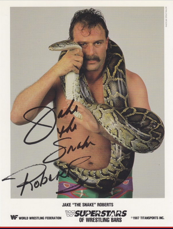 1987 Jake Roberts Superstars of Wrestling Ice Cream Bars color PWcatalog