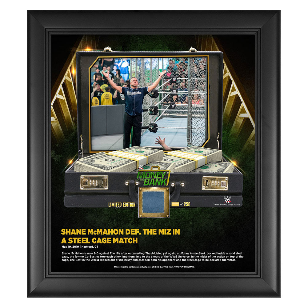 Shane McMahon Money in The Bank 15 x 17 Frame w Ring Canvas