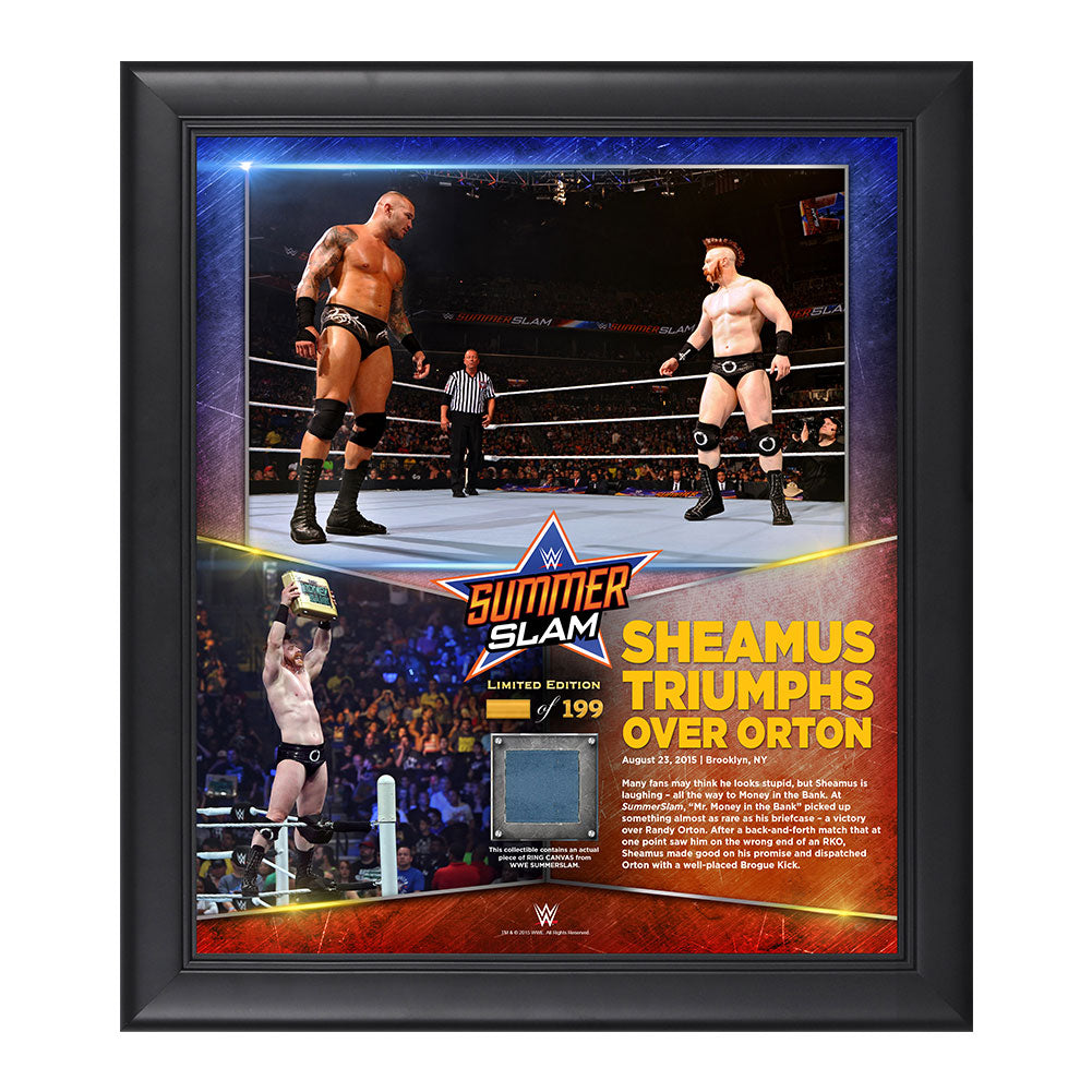 Sheamus SummerSlam 2015 15 x 17 Photo Collage Plaque