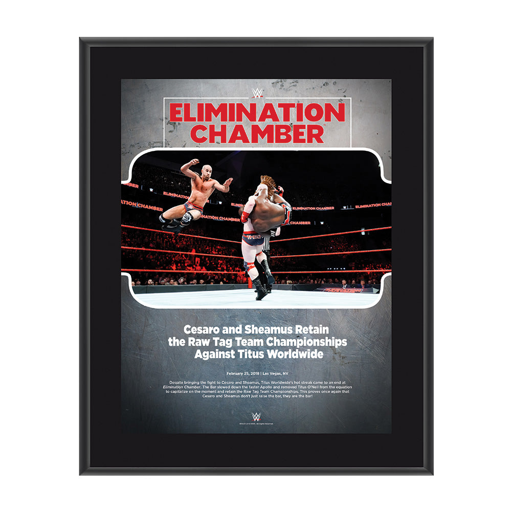 Sheamus & Cesaro Elimination Chamber 2018 10 x 13 Commemorative Photo Plaque