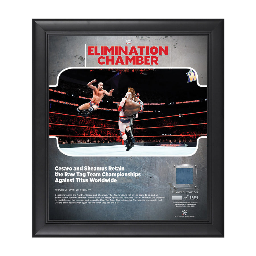 Sheamus & Cesaro Elimination Chamber 2018 15 x 17 Framed Plaque w Ring Canvas Pwcatalog