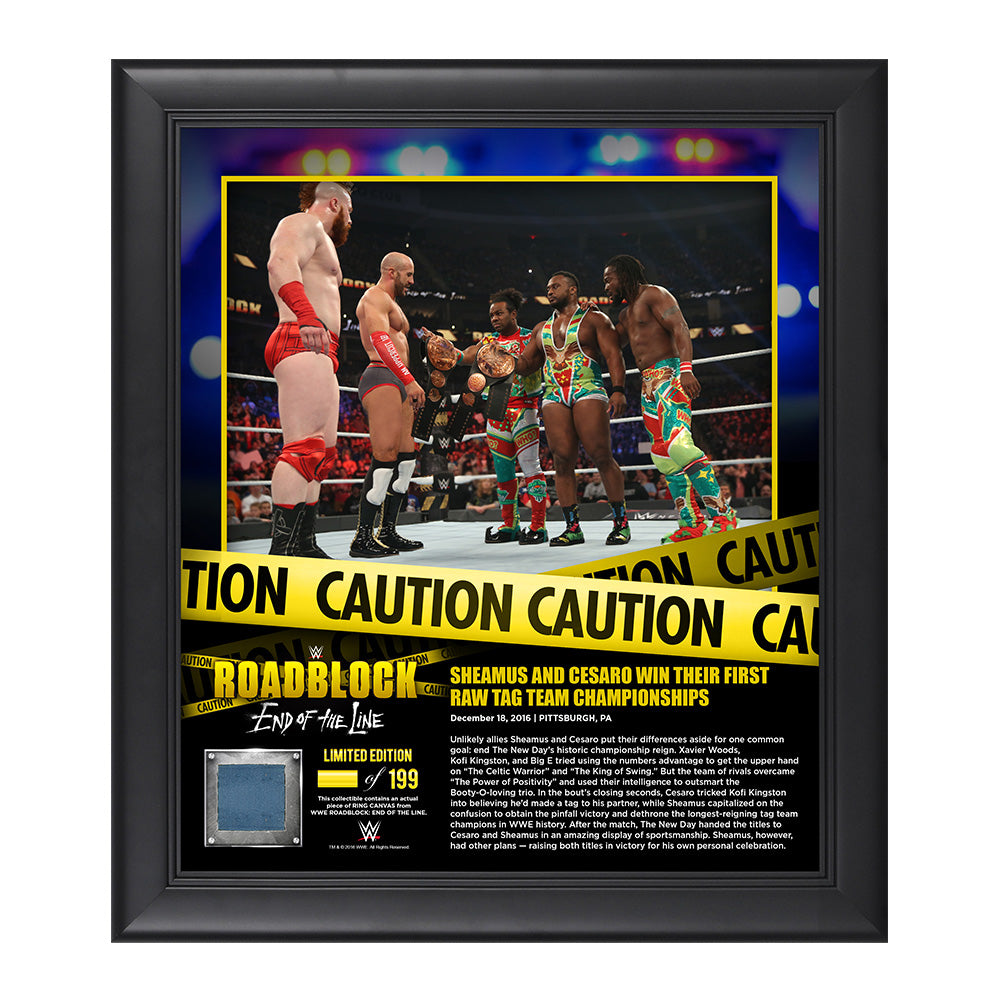 Sheamus & Cesaro RoadBlock 2016 15 x 17 Framed Plaque w Ring Canvas