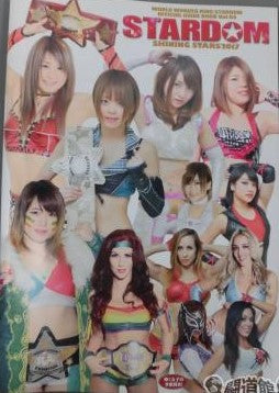 Stardom Guide Book 94 Magazine PWcatalog