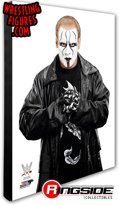 Sting - WWE 16x20 Canvas Print