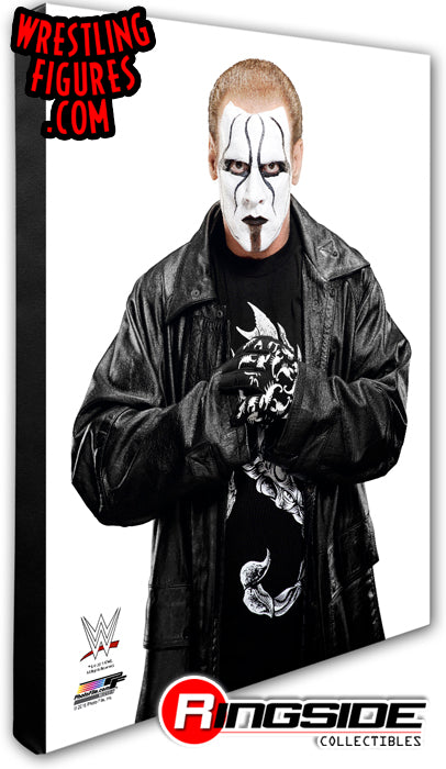 Sting - WWE 16x20 Canvas Print Pwcatalog