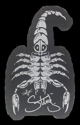 Sting Scorpio Foam PWcatalog