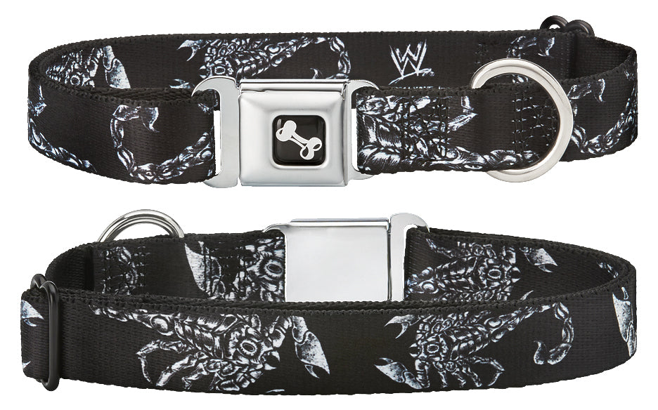Sting Scorpion Dog Collar Pwcatalog