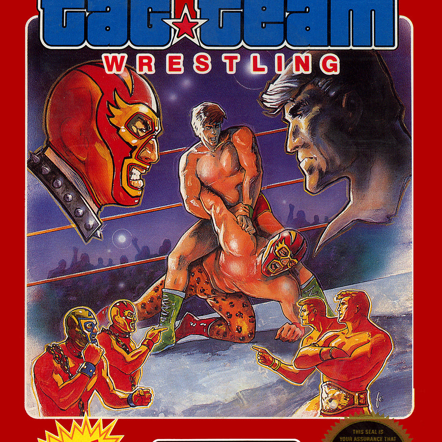 Tag Team Wrestling (video game) PWcatalog