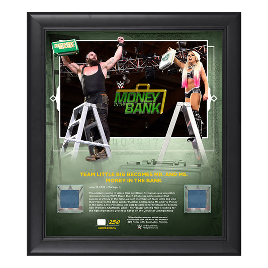 Team Little Big Money in The Bank 2018 15 x 17 Framed Plaque w Ring Canvas Pwcatalog