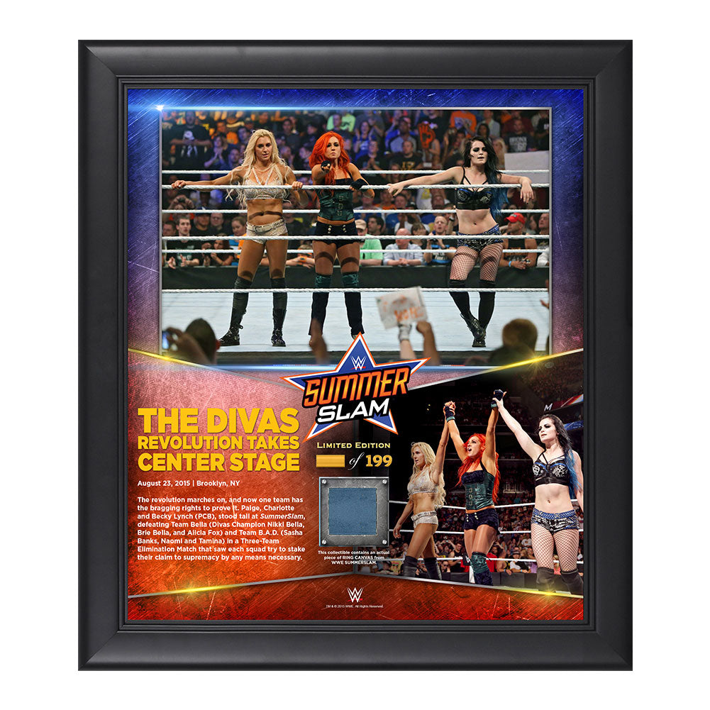 Team PCB SummerSlam 2015 10.5 x 13 Photo Collage Plaque Pwcatalog
