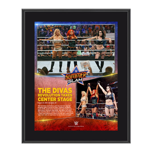 Team PCB SummerSlam 2015 15 x 17 Photo Collage Plaque Pwcatalog