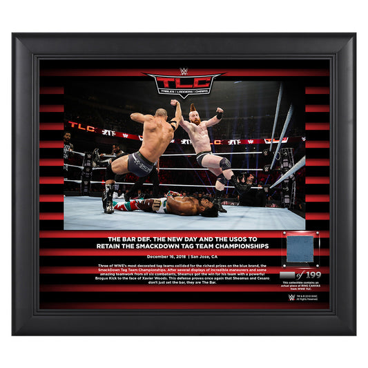 The Bar TLC 2018 15 x 17 Framed Plaque w Ring Canvas Pwcatalog