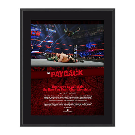 The Hardy Boyz Payback 2017 10 x 13 Commemorative Photo Plaque