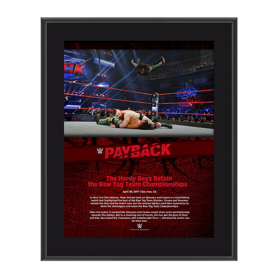 The Hardy Boyz Payback 2017 10 x 13 Commemorative Photo Plaque Pwcatalog
