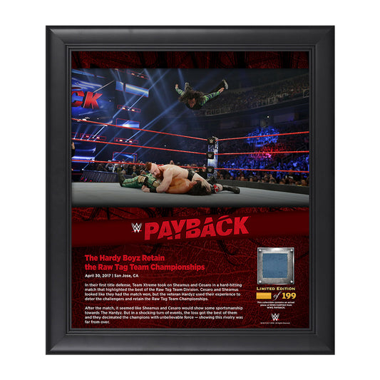 The Hardy Boyz Payback 2017 15 x 17 Framed Plaque w Ring Canvas