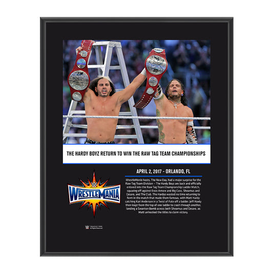 The Hardy Boyz WrestleMania 33 10 X 13 Commemorative Photo Plaque