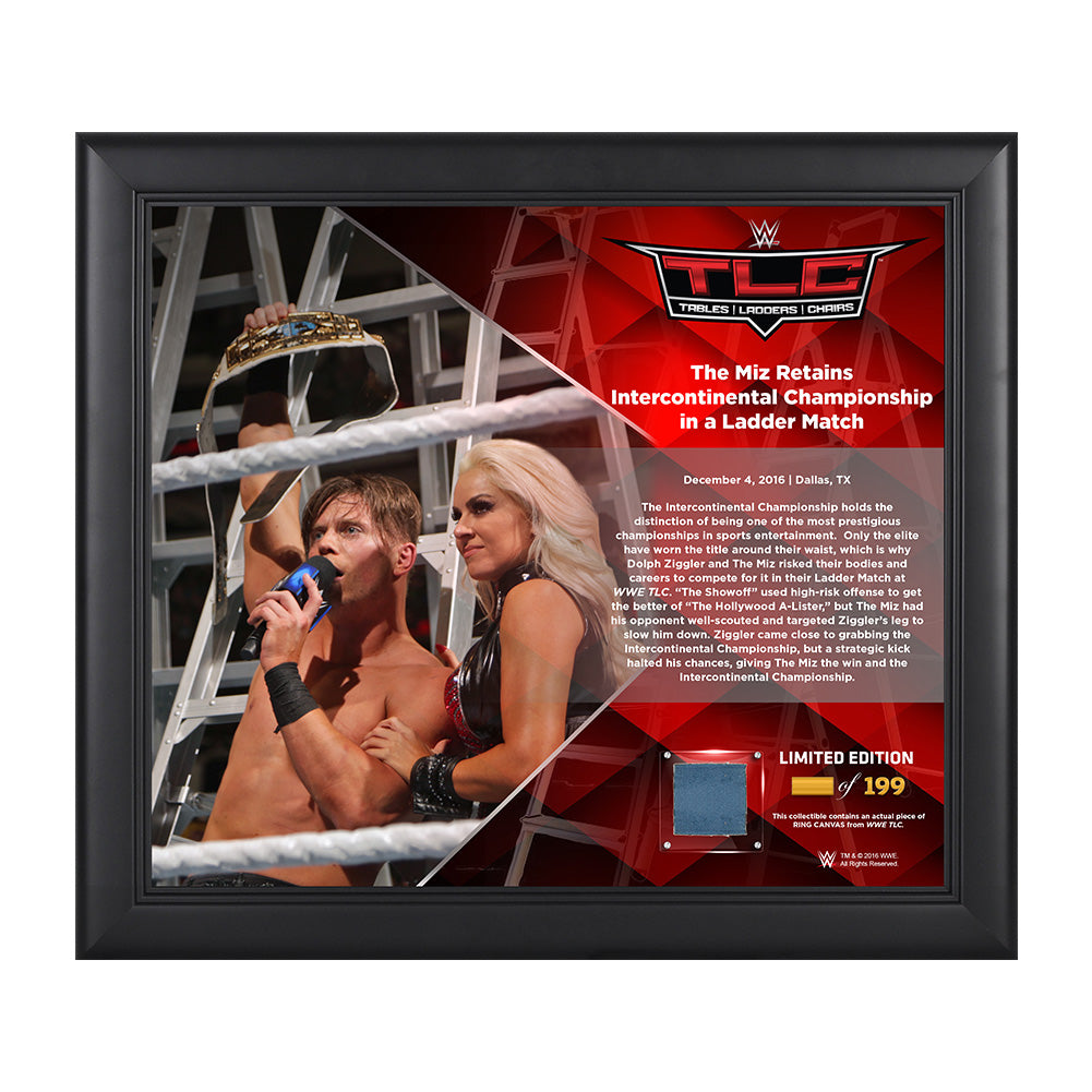 The Miz TLC 2016 15 x 17 Framed Plaque w Ring Canvas Pwcatalog