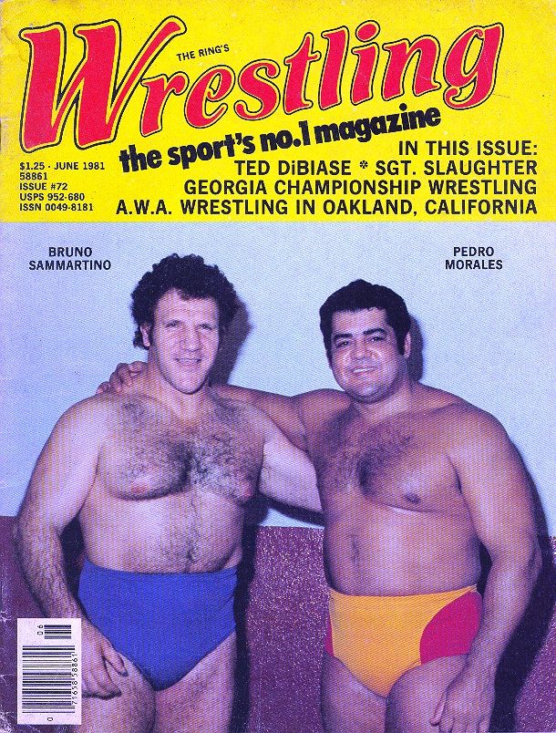 The Ring Wrestling June 1981 Magazine PWcatalog