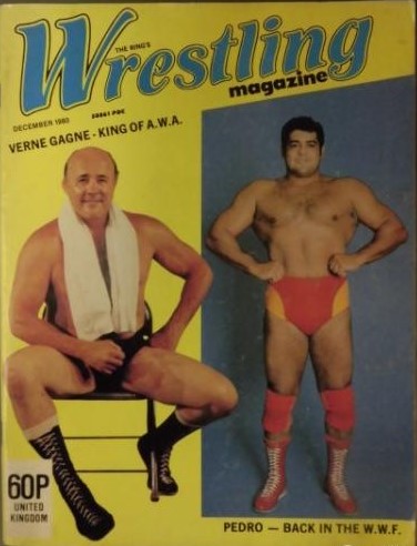 The Ring Wrestling November 1980 Magazine PWcatalog