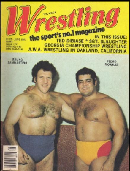 The Ring Wrestling June 1981 Magazine PWcatalog