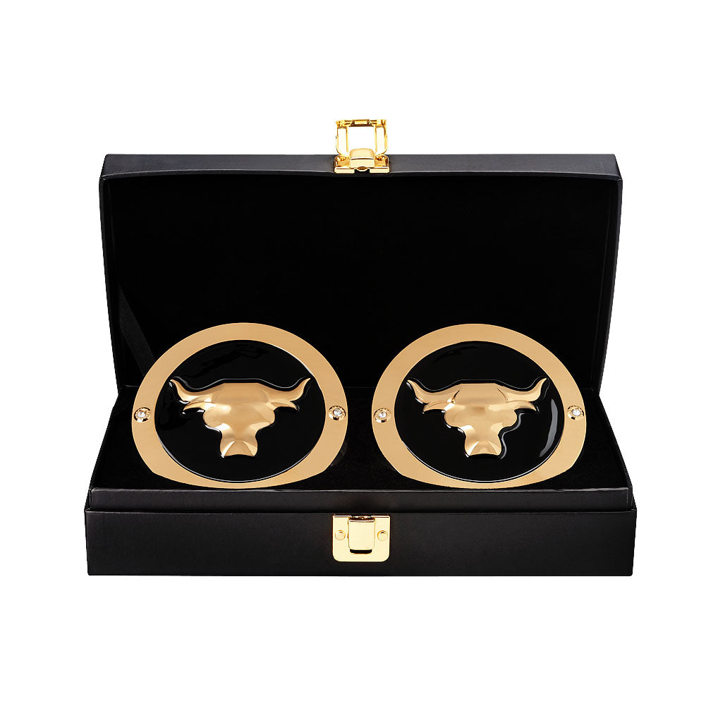 The Rock WWE World Heavyweight Championship Replica Title Side Plate Box Set Pwcatalog