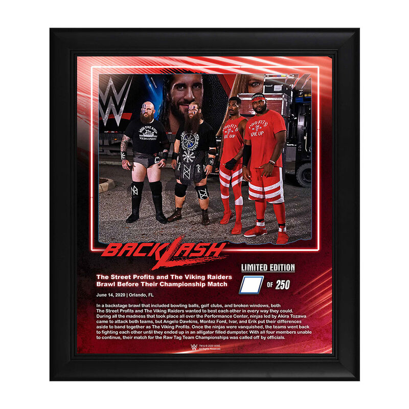 The Viking Profits Backlash 2020 15x17 Limited Edition Plaque