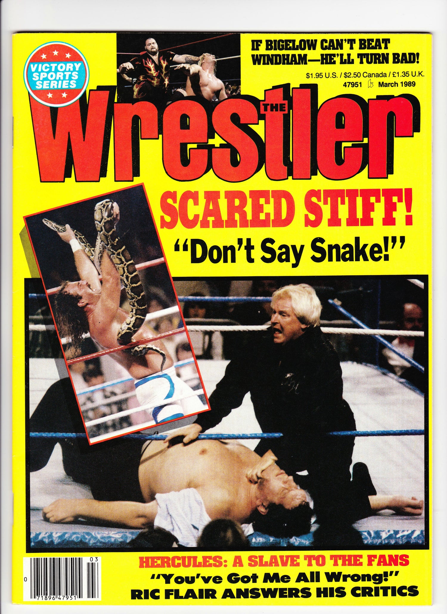 The Wrestler March 1989 Magazine PWcatalog
