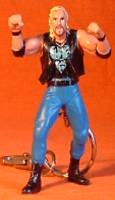 WCW DDP - image 2