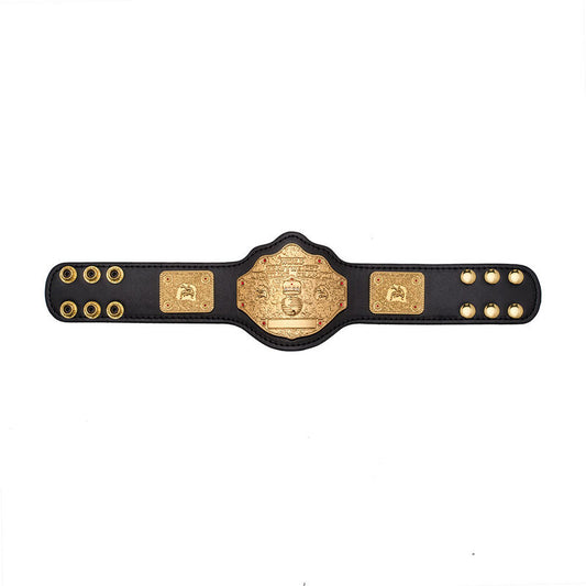WCW Heavyweight Championship Mini Replica Title Belt