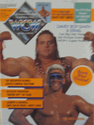 WCW Magazine  August 1993