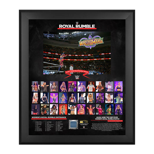 WWE Women's Royal Rumble 2018 20 x 24 Framed Plaque w Ring Canvas
