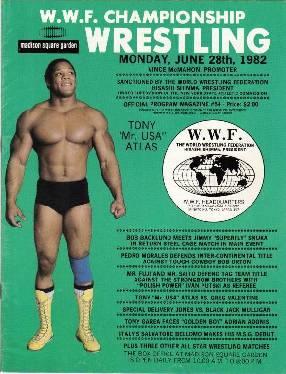 WWF Program MSG 54June 1982
