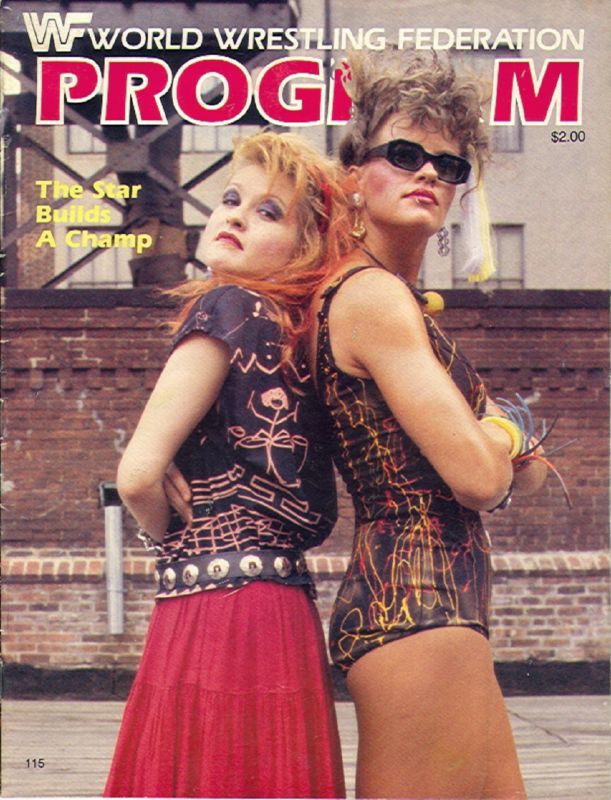 WWF Wrestling Program Vol. 115