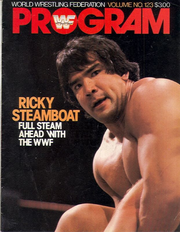 WWF Wrestling Program Volume 123 Magazine PWcatalog